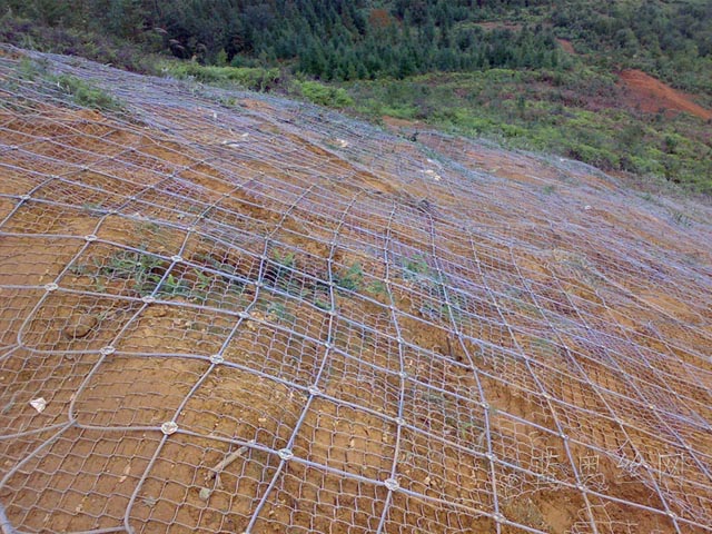 ߅�·��o(h��)�W(w��ng)���