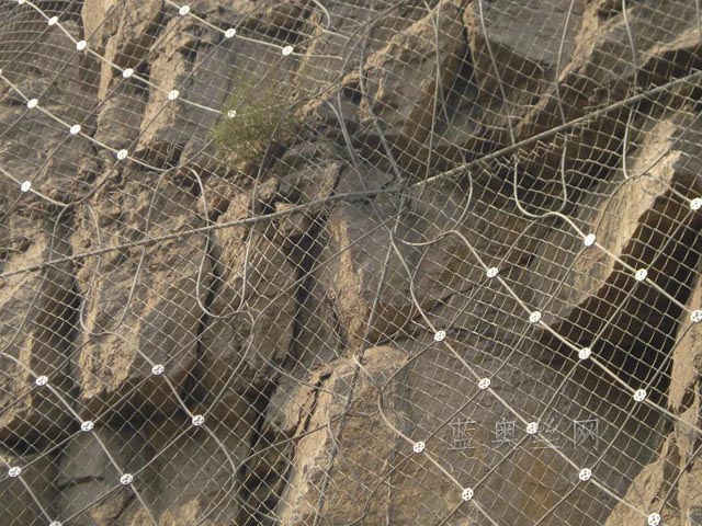 ����(d��ng)���o(h��)�W(w��ng)���b����