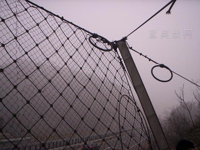 ���Է��o�W(w��ng)���