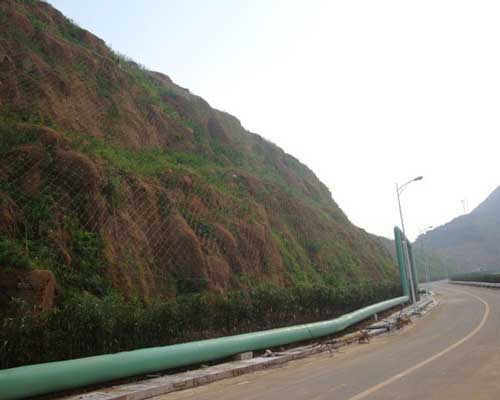 ���P(gu��n)��߅�·��o(h��)�W(w��ng)