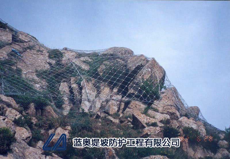 ����(d��ng)���o(h��)�W(w��ng)