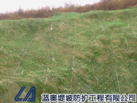 ����(d��ng)���o(h��)�W(w��ng)