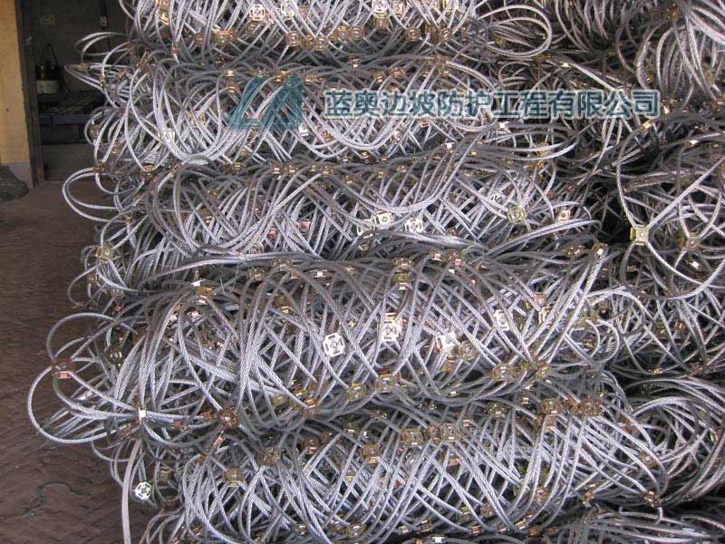 ߅�·��o(h��)�W(w��ng)���