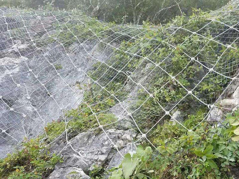 ߅�·��o(h��)�W(w��ng)��(y��ng)������������Щ�ط���Ҫ���b��