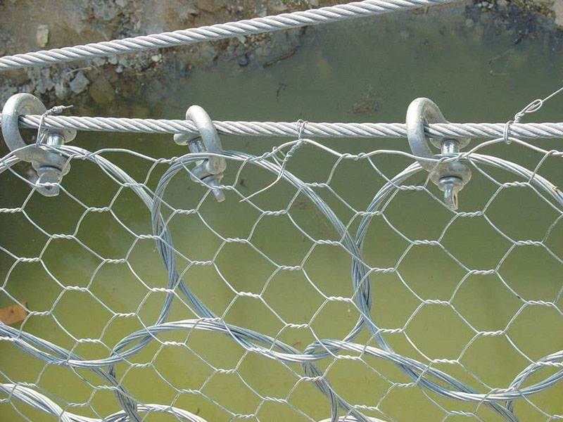 ����(d��ng)���o(h��)�W(w��ng)